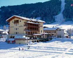 Hotel Austria - Niederau