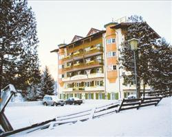Hotel Sonnschein - Niederau