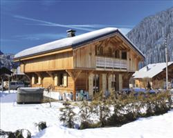 NEW Chalet Couer