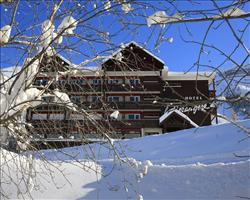 Chalet Hotel Berangere