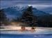 Fairmont Banff Springs, Banff
