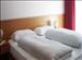 Hotel Olympia, Selva