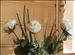 Chalet Caron, Val Thorens