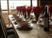 Chalet Hautes Cimes, Nendaz