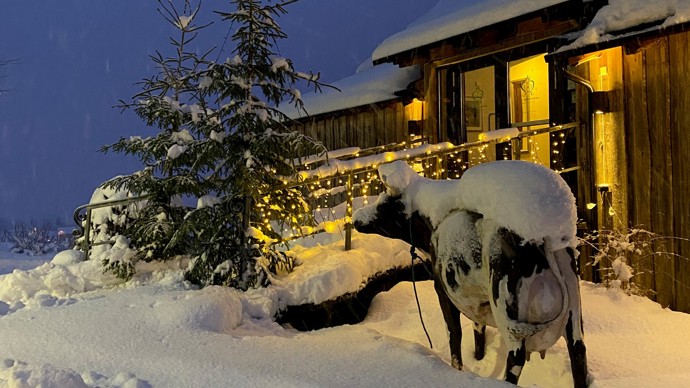 Store Ringheim Hotel