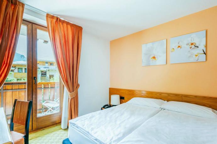 Hotel Alpina