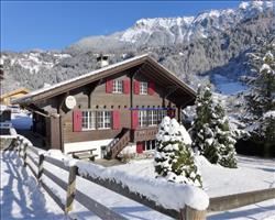 Chalet am Schärm