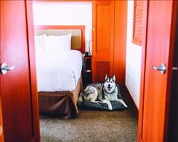 Pan Pacific Whistler Village Centre