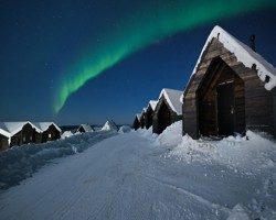 Star Arctic Northern Lights Discovery
