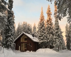 Immelmökit Cabins